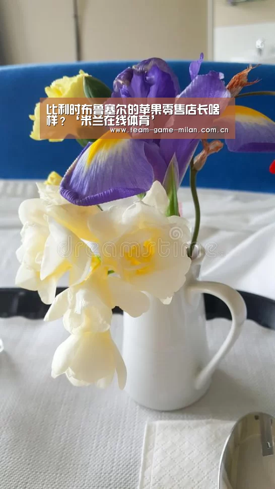 比利时布鲁塞尔的苹果零售店长啥样?‘米兰在线体育’(图2) 米兰在线体育