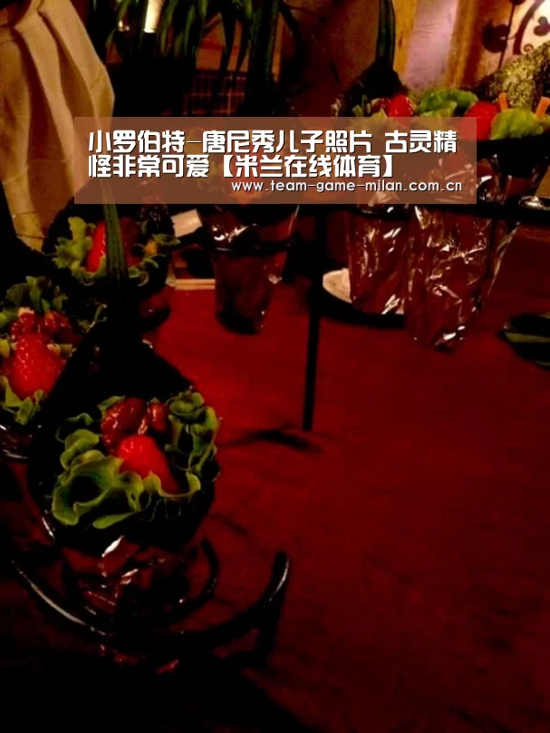 小罗伯特-唐尼秀儿子照片 古灵精怪非常可爱【米兰在线体育】(图4) 米兰在线体育